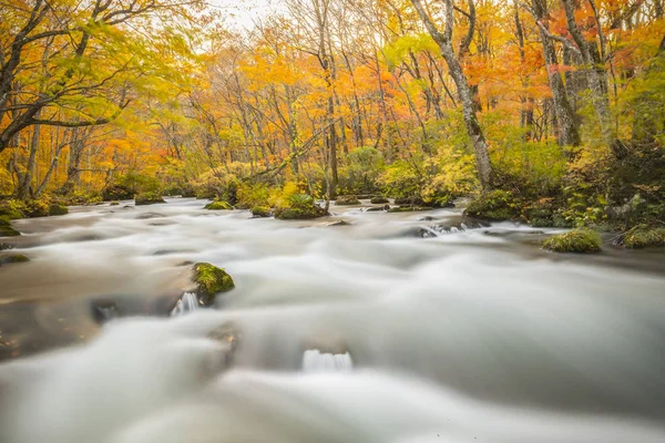 Oriase Stream Valley Autumn Aomori Prefecture Japan — Stock Photo, Image