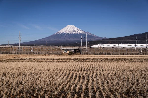 Tokaido shinkansen ve Mt.Fuji