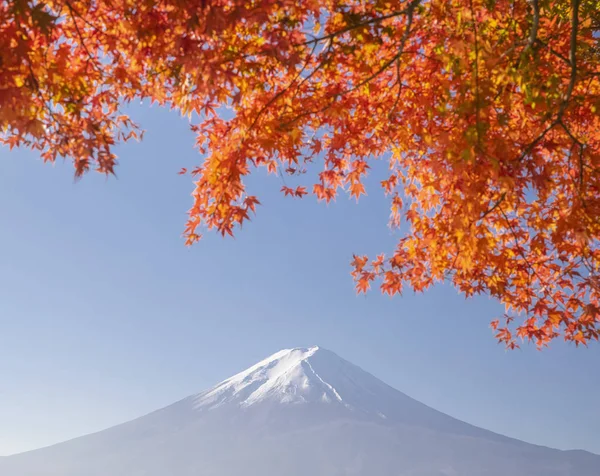 Red Maple Leaves Fuji Autumn Season Kawaguchiko Lake — Stock Photo, Image