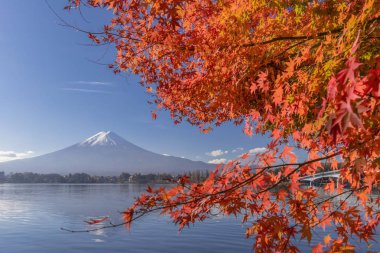 Kırmızı akçaağaç yaprakları ve Mt. fuji sonbahar sezonu Kawaguchiko Gölü