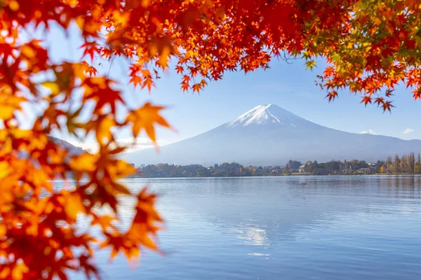 Kırmızı Akçaağaç Yaprakları Fuji Sonbahar Sezonu Kawaguchiko Gölü — Stok fotoğraf