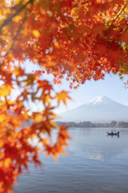 Kırmızı akçaağaç yaprakları ve Mt. fuji sonbahar sezonu Kawaguchiko Gölü