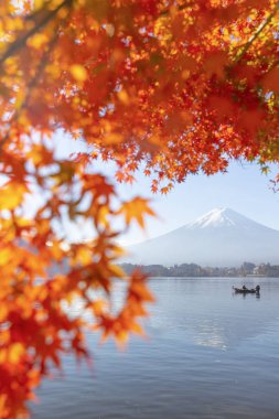 Red maple leaves and Mt. fuji in autumn season at Kawaguchiko lake clipart