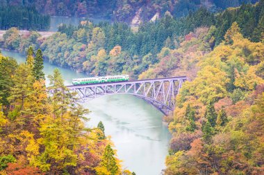Sonbaharda Mishima, Fukushima 'da Tadami hattı.