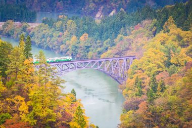Sonbaharda Mishima, Fukushima 'da Tadami hattı.