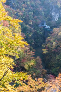Rikuu satırında değil gorge Güz
