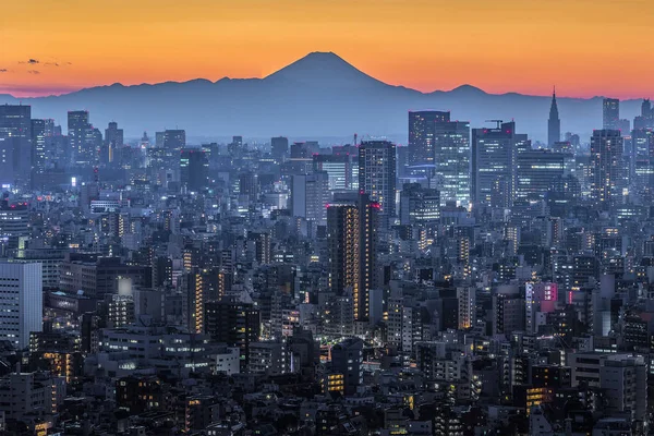 Vista Sulla Città Tokyo Sul Monte Fuji Tramonto — Foto Stock