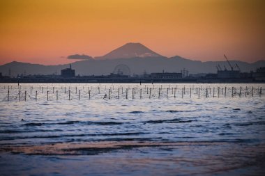 Tokyo bay and mt.Fuji at sunset clipart