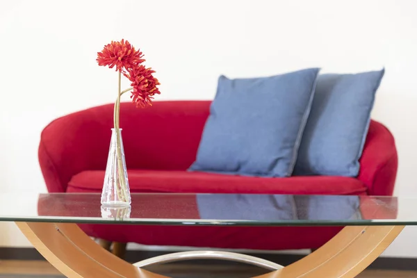 Flowers Vase Table Sofa Living Room — Stock Photo, Image