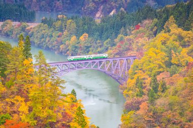 Tadami Hattı sonbaharda Tadami Nehri üzerindeki bir köprüden geçiyor.