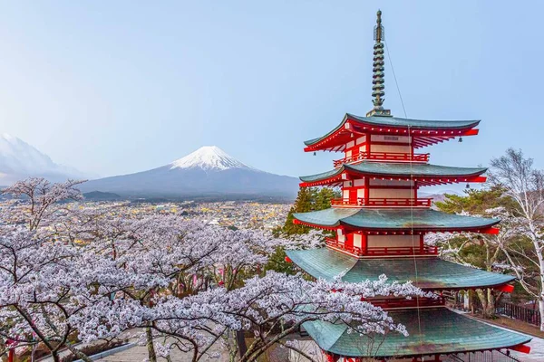 Chureito Pagoda Mount Fuji Během Třešňových Květů Jaře — Stock fotografie