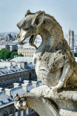 Notre-Dame Dragoon çirkin yaratık