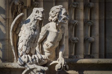 Gargoyles birkaç Notre-Dame