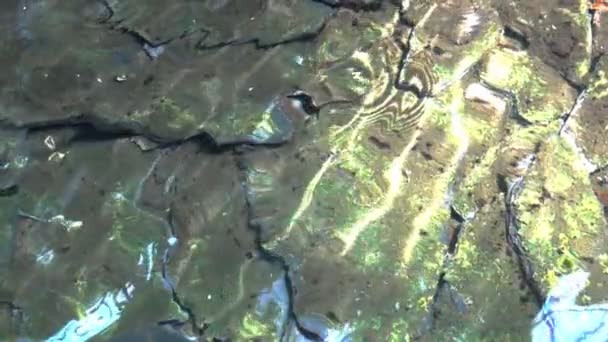 Green Moss Stone Water Lake Sunrise Slow Motion — стоковое видео