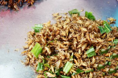 Kızarmış, kriket hata popüler snack sokak gıda Tayland