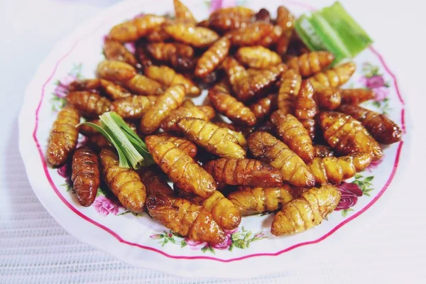 Gebratene Seidenwürmer Bambusinsekt Beliebter Snack Street Food Thailand — Stockfoto