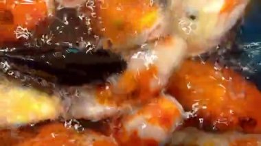 Soyut birçok fantezi sazan balığı, koi balığı, gölet Yüzme