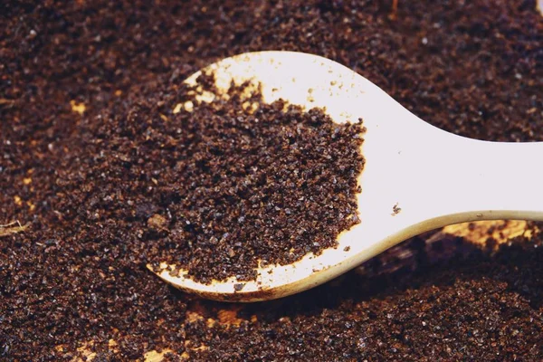 coffee Ground on a wood spoon close up