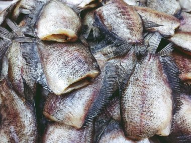 Kurutulmuş Trichogaster pektoralis balık yığını yakın
