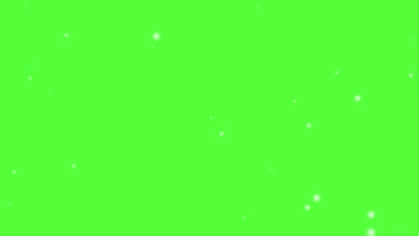 Beautiful Animation Isolated Falling Snow Green Screen Background — Stock Video