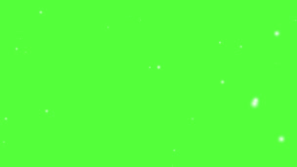 Красивая Анимация Изолированный Падающий Снег Зеленом Фоне Экрана — стоковое видео