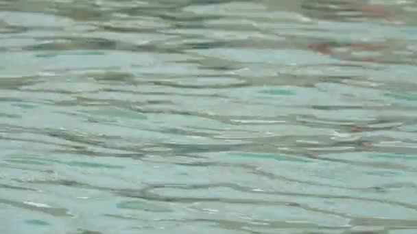 Abstraktes Blaues Wasser Schwimmbad Mit Lichtreflexen — Stockvideo