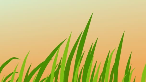 Лезвия Травы Качающиеся Ветру Красивый Фон Восхода Солнца Анимация — стоковое видео
