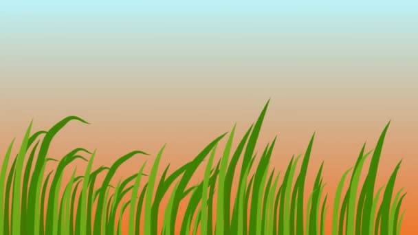 Lames d'herbe, se balançant dans le vent, Beau lever de soleil, animation 3d 