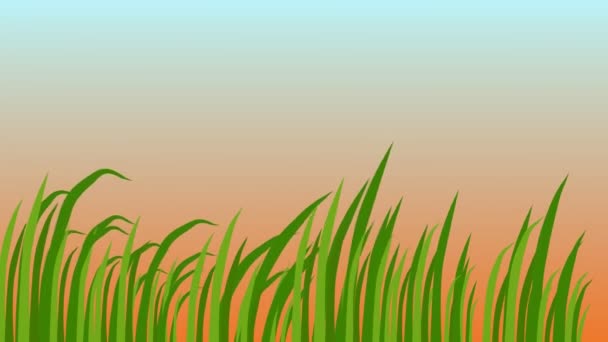 Blades Grass Swaying Wind Beautiful Sunrise Background Animation — Stock Video