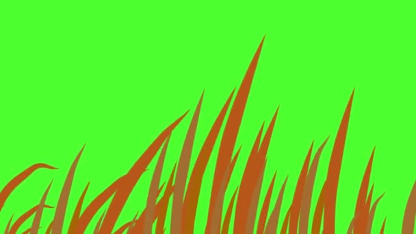 Blades Grass Swaying Wind Green Screen Background Animation — Stock Video