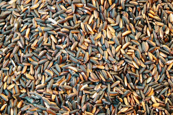 Pile of thai black glutinous rice or sticky rice