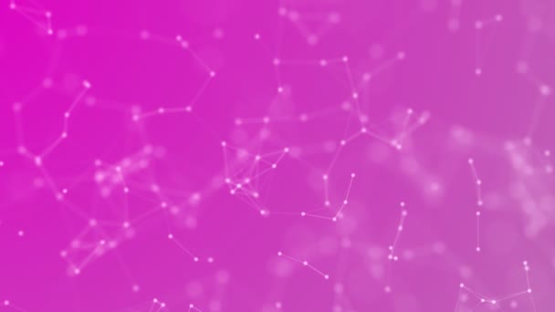 Vonalak Pontok Technológia Futurisztikus Hálózati Plexus Absztrakt Rózsaszín Háttér Animáció — Stock videók