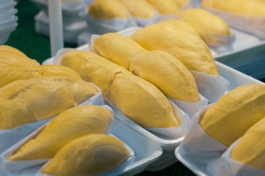 köpük kutusunda taze durian yakın