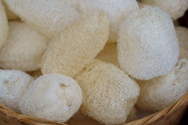 Vücut ovma için doğal sünger sebze Tay Luffa Scrub