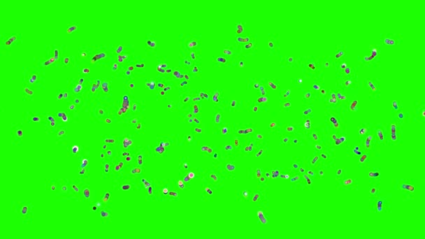 Βακτήρια Ιός Βλαστικά Κύτταρα Κινούμενα Κινούμενα Σχέδια Απόδοση — Αρχείο Βίντεο