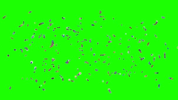 Bacteria Virus Stem Cells Moving Animation Rendering — Stock Video