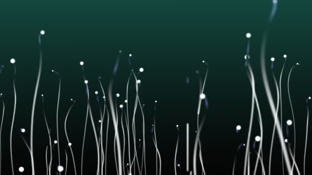 Abstract Dot Line Sperm Swimming Animation Rendering — Stock Video