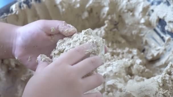 子供の手にハーブ塩漬けアヒルの卵 塩漬け卵の作り方をリーリング — ストック動画