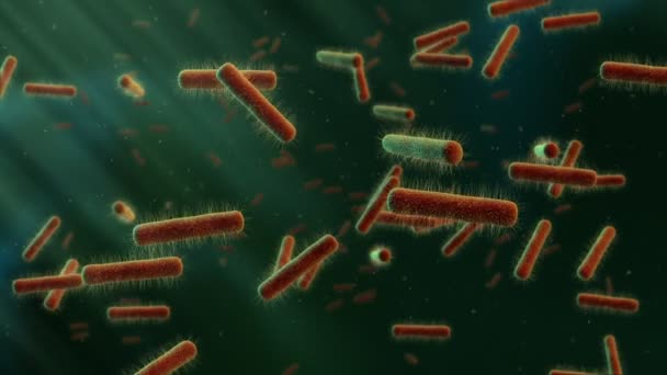 Video Van Zwevende Bacteriën Achtergrond — Stockvideo