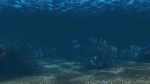 Відео Підводний Сценічний Фон — стокове відео