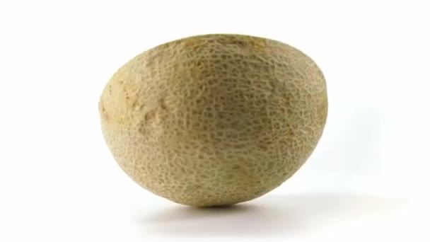 Melon Cut Half Side View — Stock Video