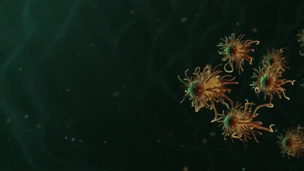 細菌の移動のビデオ — ストック動画