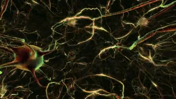 Vidéo Boucle Neuronale — Video