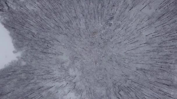 Cima Vista Árvores Nevadas — Vídeo de Stock