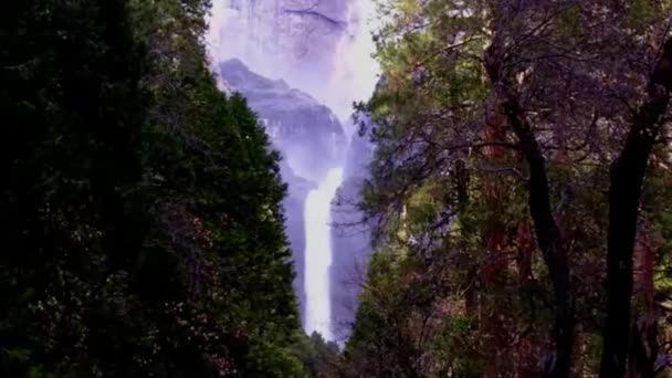 Cascate Yosemite Inferiore Visto Attraverso Uno Spazio Nella Pineta — Video Stock