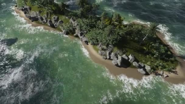 Video Isla Tropical — Vídeo de stock