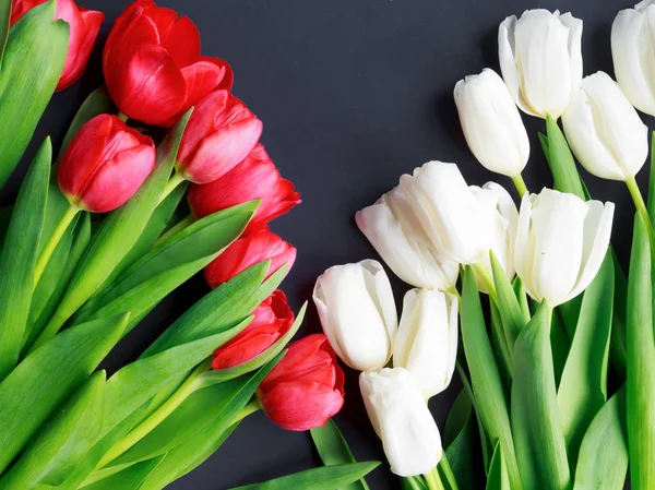 Тюльпани Бірюзове Сірий Фон Весняні Квіти День Святого Валентина Жіночий — стокове фото