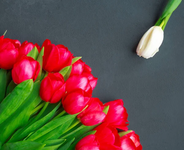 Тюльпани Бірюзове Сірий Фон Весняні Квіти День Святого Валентина Жіночий — стокове фото
