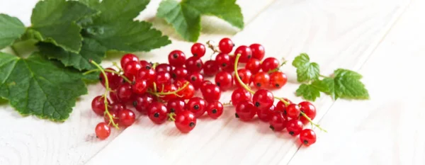 Frutti Freschi Maturi Bacche Ribes Rosso Sfondo Legno Chiaro — Foto Stock