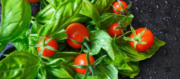 Taze domates ve koyu arka plan üzerinde aromatik otlar.